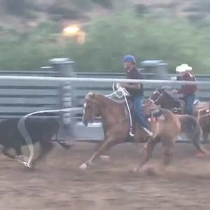 Meet your Posher, Frank